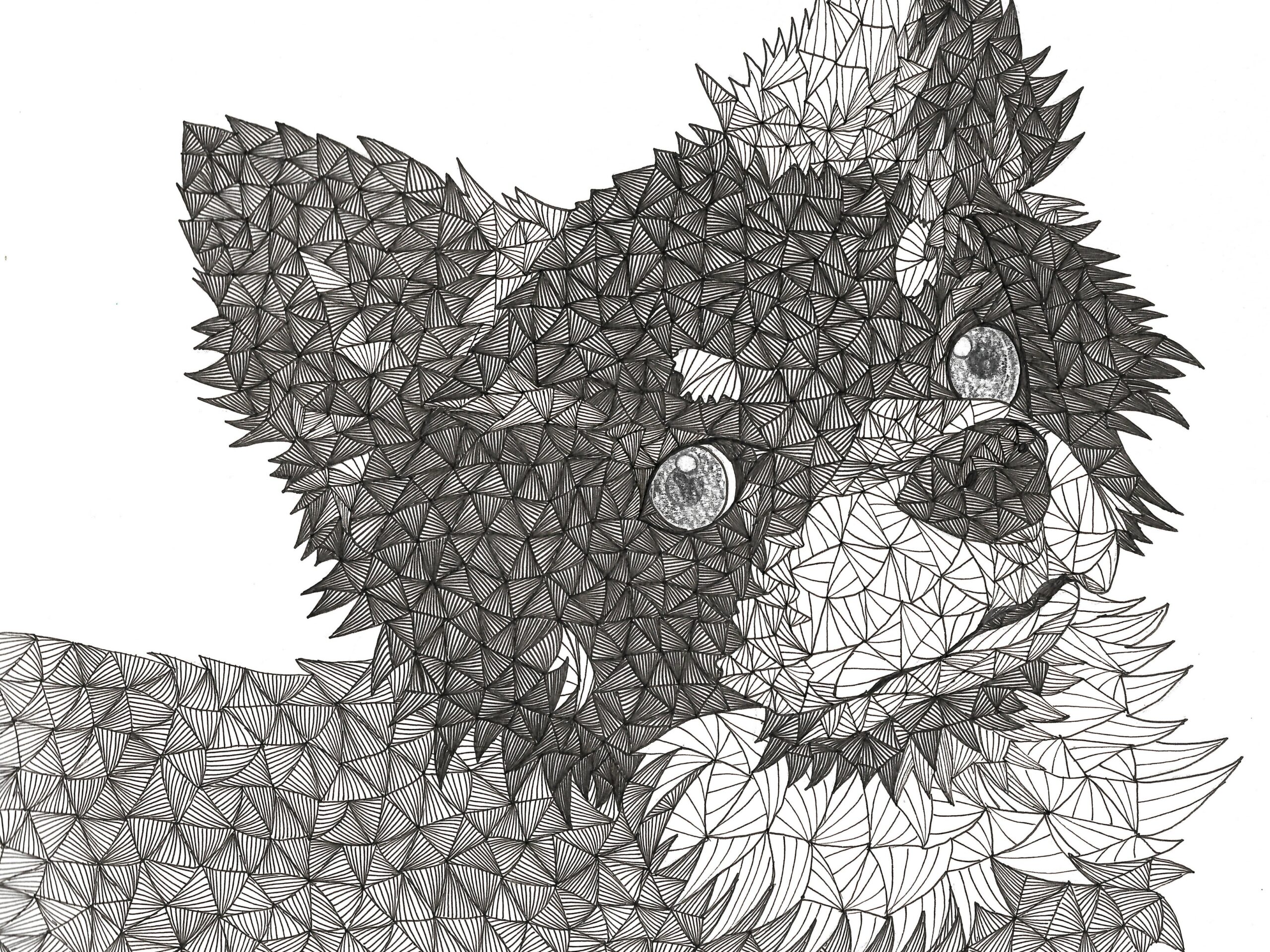 spoon.2Di vol.72 | spoon.2Di 編集部 web shop